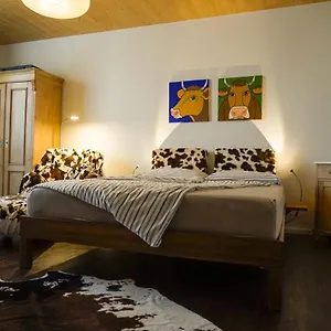 Apartment Kuh, Bolsterlang